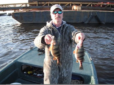 Mike Cline - 1-3 and 1-4 Ring Perch
